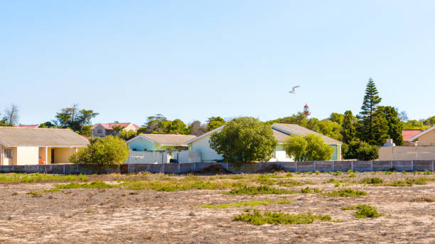 istock Robben Island, South Africa 826359238
