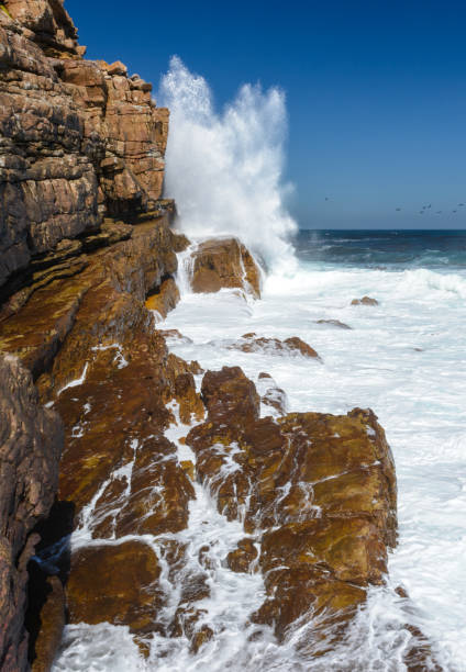 istock South African rock and the ocean 826361958