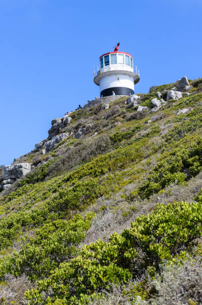 istock Lighthouse over the rock in South Africa 826362216