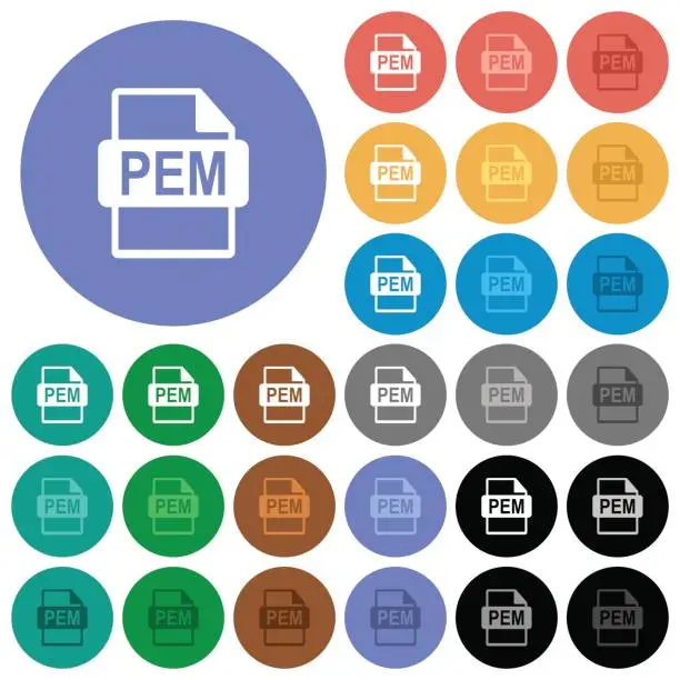 Vector illustration of PEM file format round flat multi colored icons