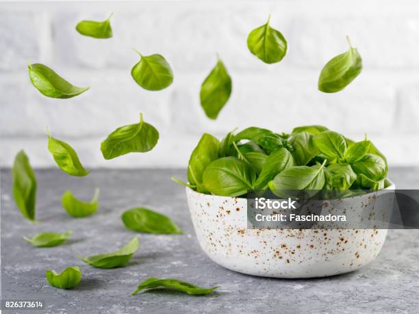 Fly Shpinach Over Kitchen Table Stock Photo - Download Image Now - Basil, Seasoning, Spice