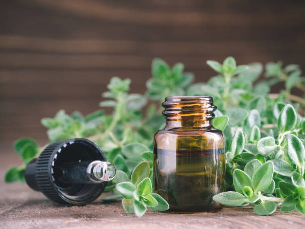 istock Organic essential thyme oil with green leaves 826376886