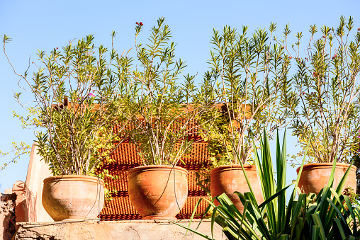 Clay terracotta pot amphora standing against the wall of a medieval house in a mediterranean resort