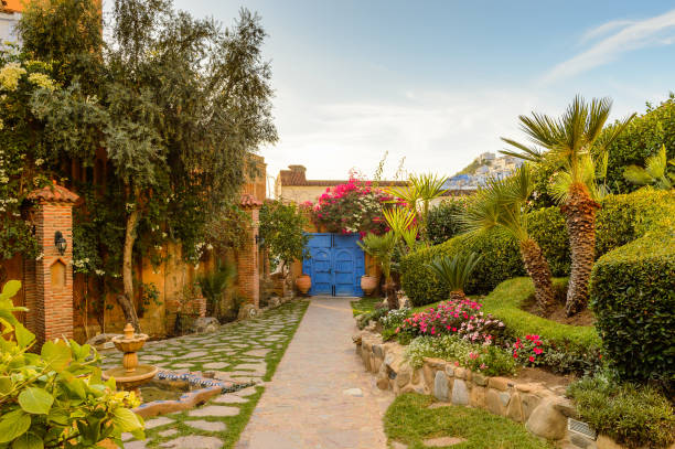 istock Architecture of Chefchaouen, Morocco. 826385808