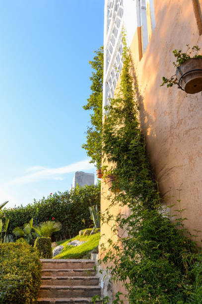 Mediteranean garden in villa with geranium and tropical trees Spain