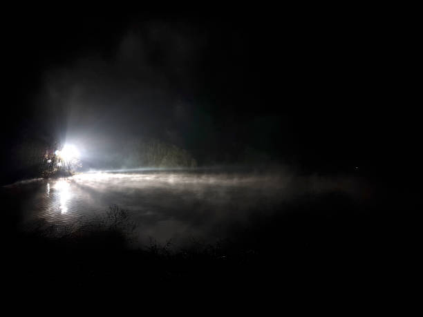 istock Dark horror, foggy forest 826388596