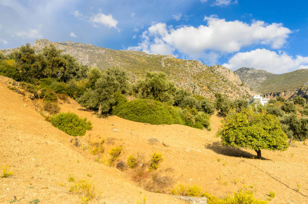 istock Architecture of Chefchaouen, Morocco. 826389012