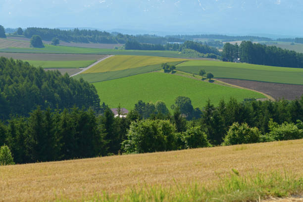 istock Scenery of a hill in Biei 826390340
