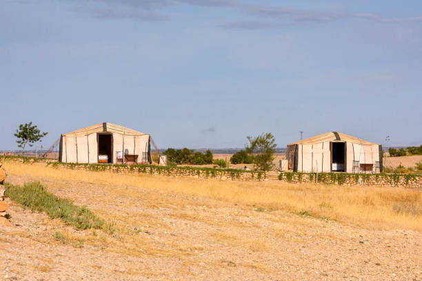 istock Desert Land of Stars, Morocco 826390654