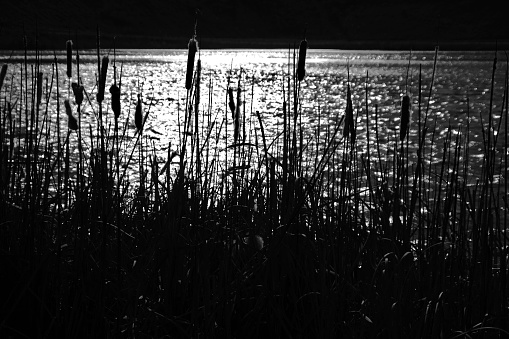 black and white image reflection of light on the lake of the discovery decazeville