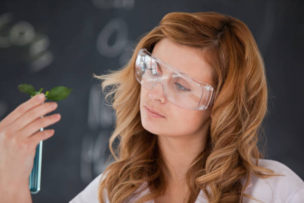 istock Attractive female scientist looking at a test tube 826393040