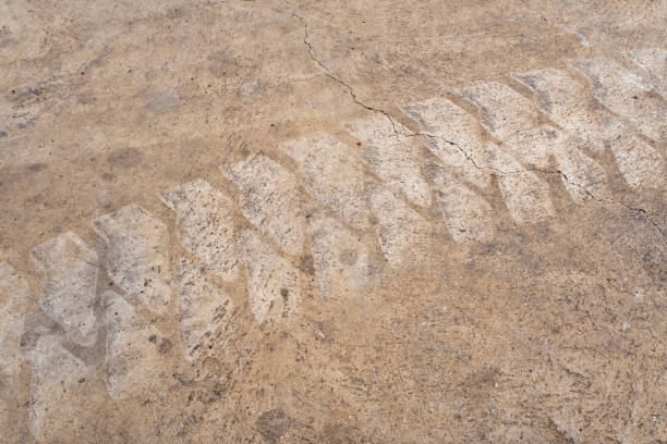 istock Folk lift Tire track 826397604