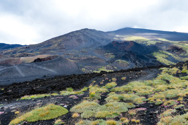 istock Mount Etna volcano in Sicily, Italy 826405858