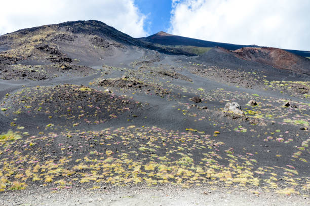 istock Mount Etna volcano in Sicily, Italy 826406126