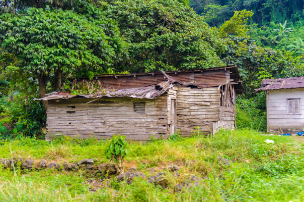istock Weak houses in Cameroon jungle 826409344