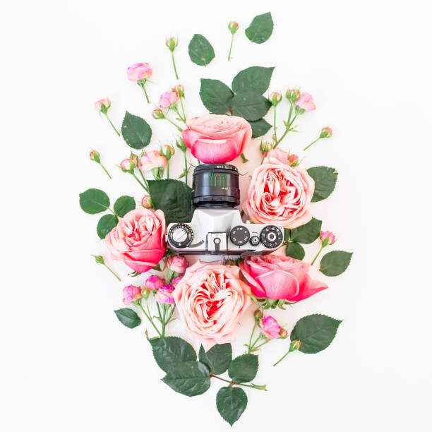 istock Pink roses and Old retro camera on white background. Flat lay, top view 826409400