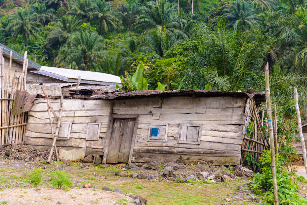 istock Destroyed cabins in the jungle 826409514