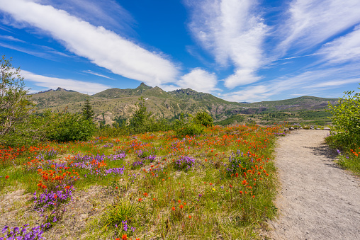 Mount St Helens National Park, South Cascades in Washington State, USA