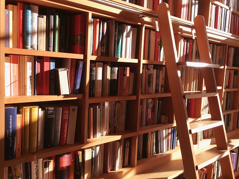 Book shelves indoor