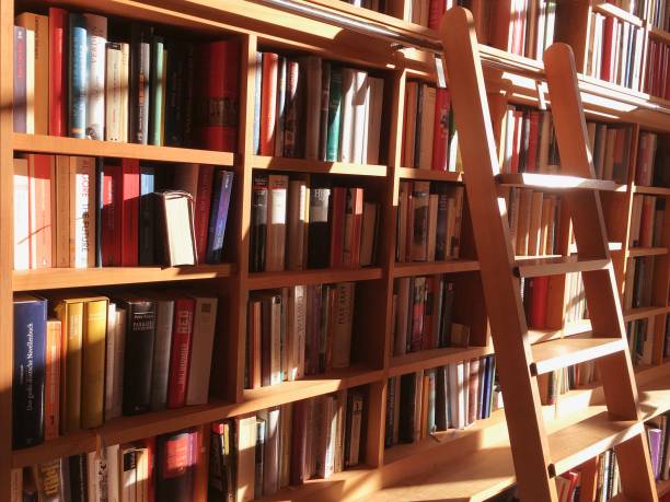 prateleira cheia de livros perto com uma escada - paperback book stack book spine - fotografias e filmes do acervo