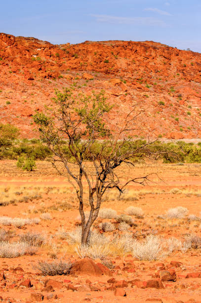 istock Rocks of Twyfelfontein, Namibia 826416228