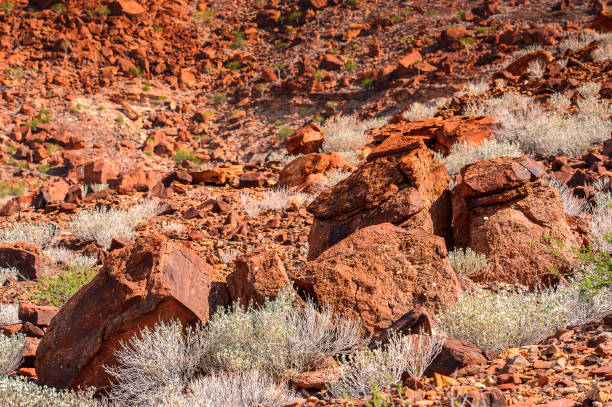 istock Rocks and stones of Twyfelfontein, Namibia 826416594