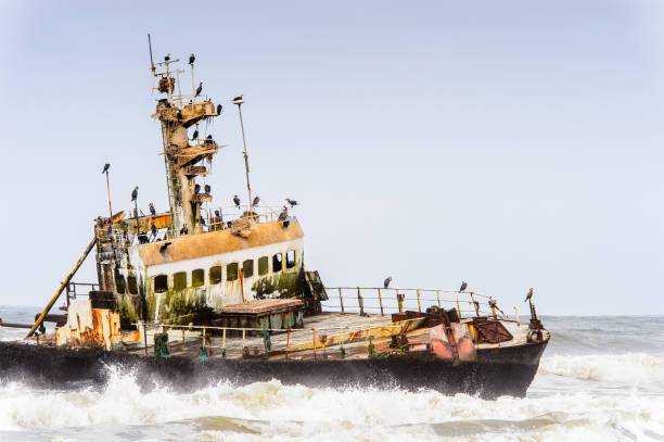 istock Damaged abandoned ship at the coastline of Namibia 826419502
