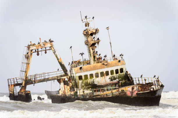 istock Damaged abandoned ship at the coastline of Namibia 826419504
