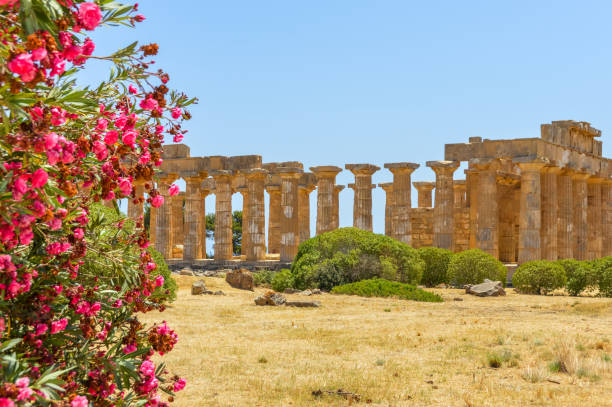 istock Ancient Greek Ruins in Selinunte, Sicily 826421030