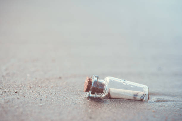 istock Message in the bottle washed out from sea against the sun setting down 826427246