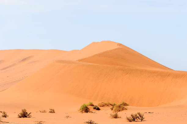 istock Namibia desert, Sossuvlei, Africa. 826432822