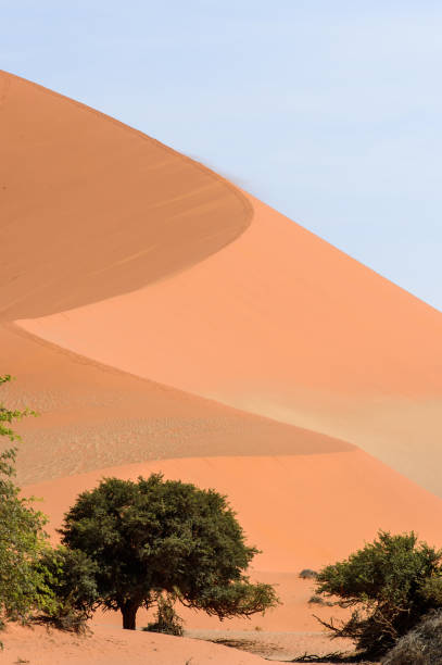 istock Namibia desert, Sossuvlei, Africa. 826434944