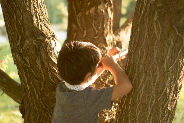 mały chłopiec z lornetką - discovery binoculars boy scout searching zdjęcia i obrazy z banku zdjęć