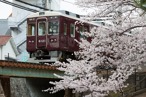 Nishinomiya, Japan - April 5, 2016: Hankyu Koyo Line move past the Kurakuenguchi in Nishinomiya, Hyogo Prefecture, Japan. Hankyu Railway, which connects Osaka, Kobe, Takarazuka and Kyoto.