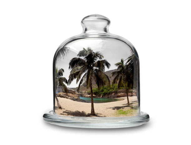 Tropical Beah in Crystal Cakestand