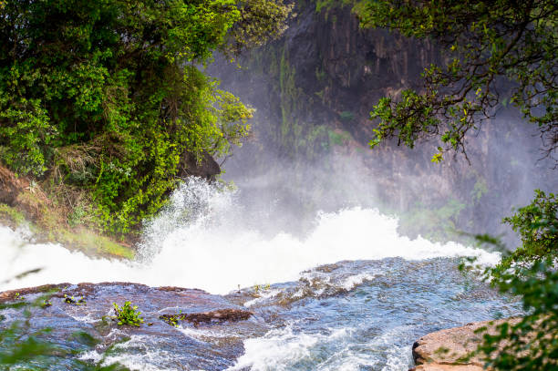 istock Zambezi River, Zimbabwe and Zambia 826449840