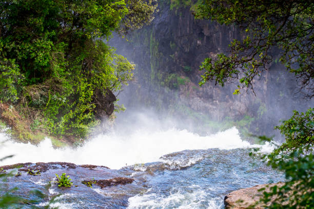 istock Zambezi River, Zimbabwe and Zambia 826449980
