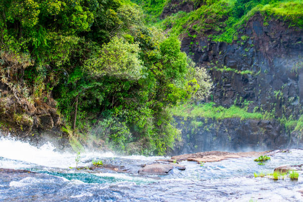 istock Zambezi River, Zimbabwe and Zambia 826452274