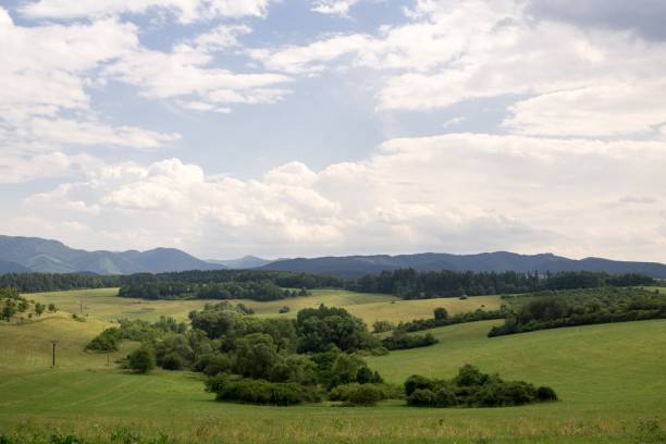 istock Green meadow during sunny and cloudy afternoon. 826467988