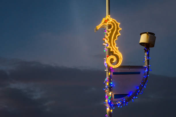 Seahorse neon sign in Vietnam.