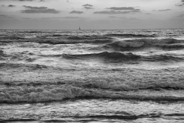 黒と白の夕日海岸で砕ける波 - sailboat sunset tel aviv sea ストックフォトと画像