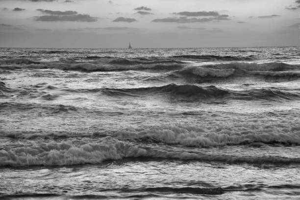 waves crashing in the shore at sunset in black and white - sailboat sunset tel aviv sea imagens e fotografias de stock