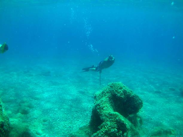 scario - diving diver - rede de arrastão imagens e fotografias de stock
