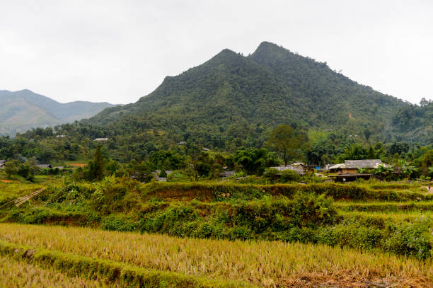 istock Beautiful nature of Vietnam 826482220
