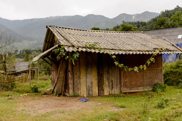 istock House in a village in Vietnam 826482232