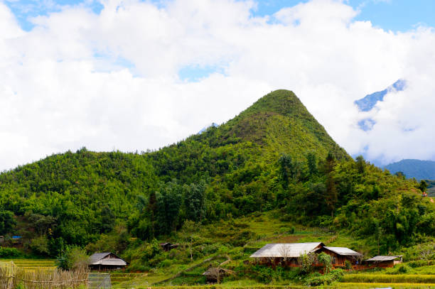 istock Catcat village in Vietnam 826483276
