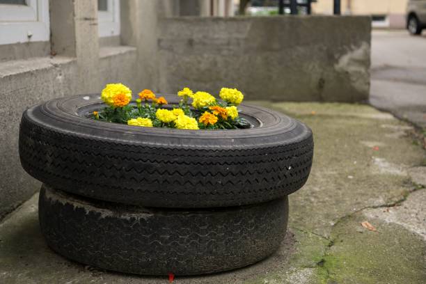 Flowers in the car tire.