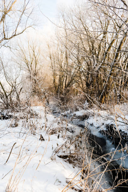 istock Beautiful winter scene with creek 826486746