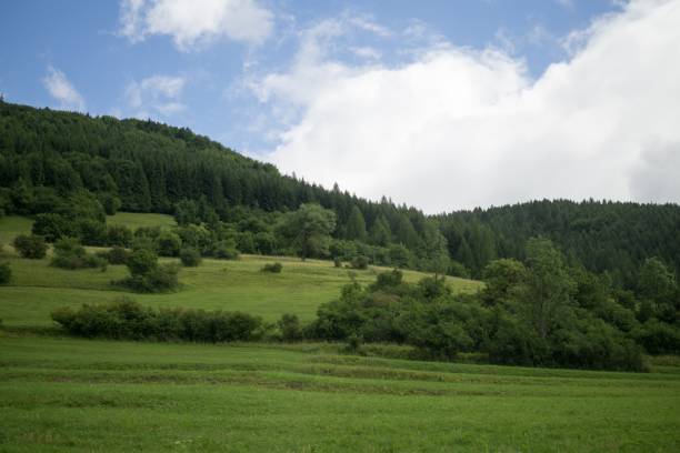 istock Green meadow and hills during sunny and cloudy afternoon. 826487160