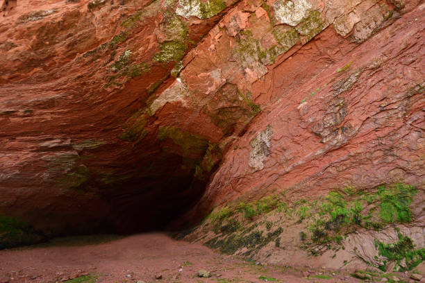 cuevas de san martín marinas (nuevo brunswick, canadá) - fundy trail fotografías e imágenes de stock